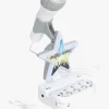 Cloudberry Castle Karaoke System