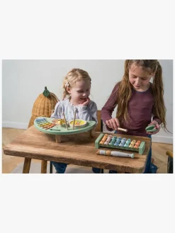 Dantoy Musiksæt Wooden In Gift Box