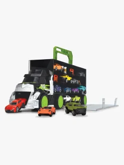 Dickie Carry & Store Biltransport