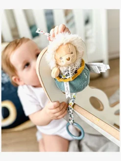 DouDou Spilledåse, Boh'aime Lion